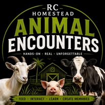 R.C. Homestead Animal Encounters